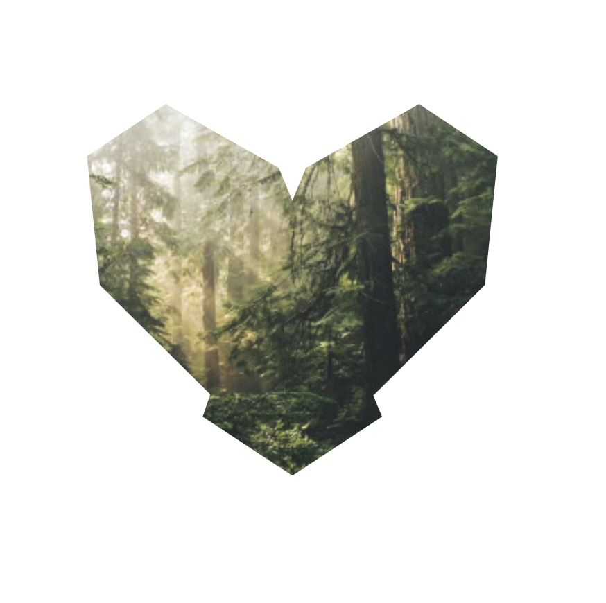 Bryan Carle The Heart of Bryan Original Tree Heart Icon Site Category Nature Science