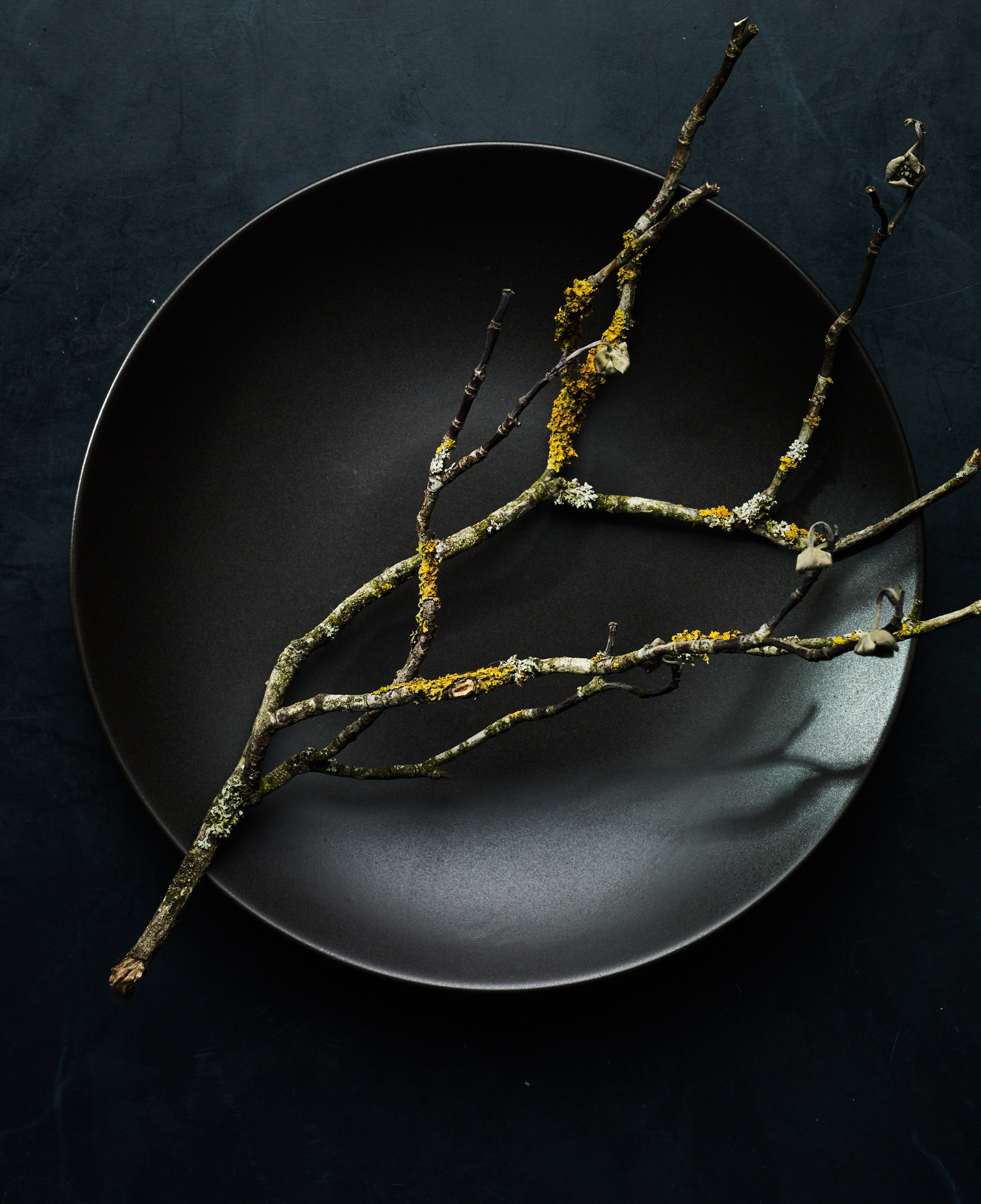 Bryan Carle THOB Original Editorial Tabletop Dinnerware Black Plate Branch Lichen Moss Lime Green Modern Contemporary